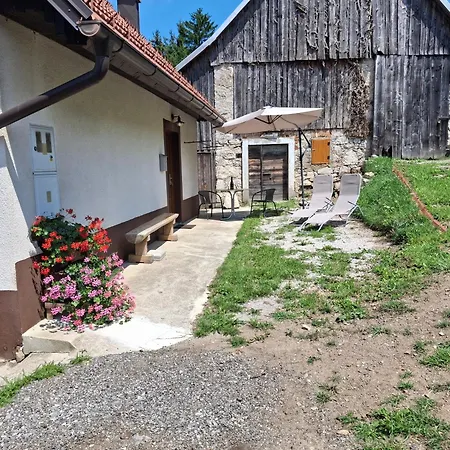 Apartma Hiska Vrh *