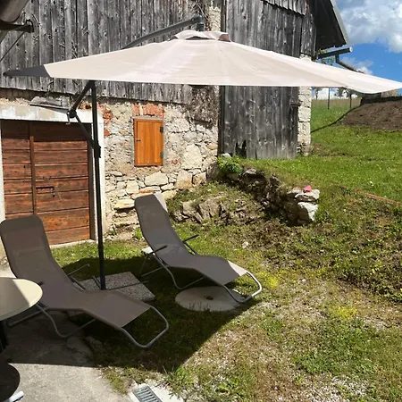 Apartma Hiska Vrh *