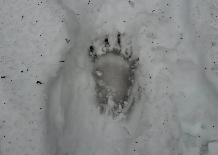 Apartma Hiska Vrh * Stari Trg pri Lozu